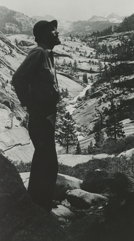 1916