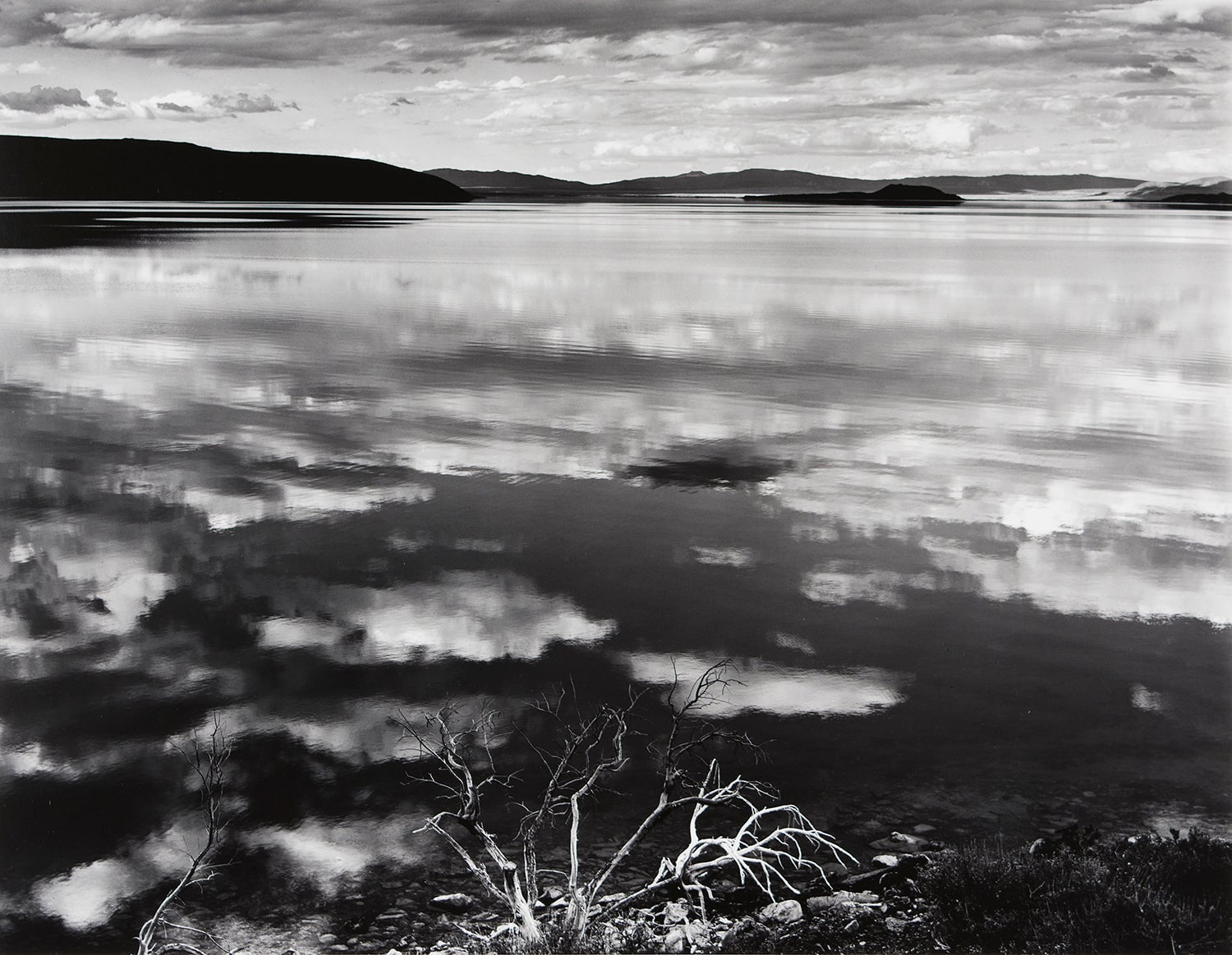 Photographie monochrome par HASSELBLAD Photographie monochrome par HASSELBLAD