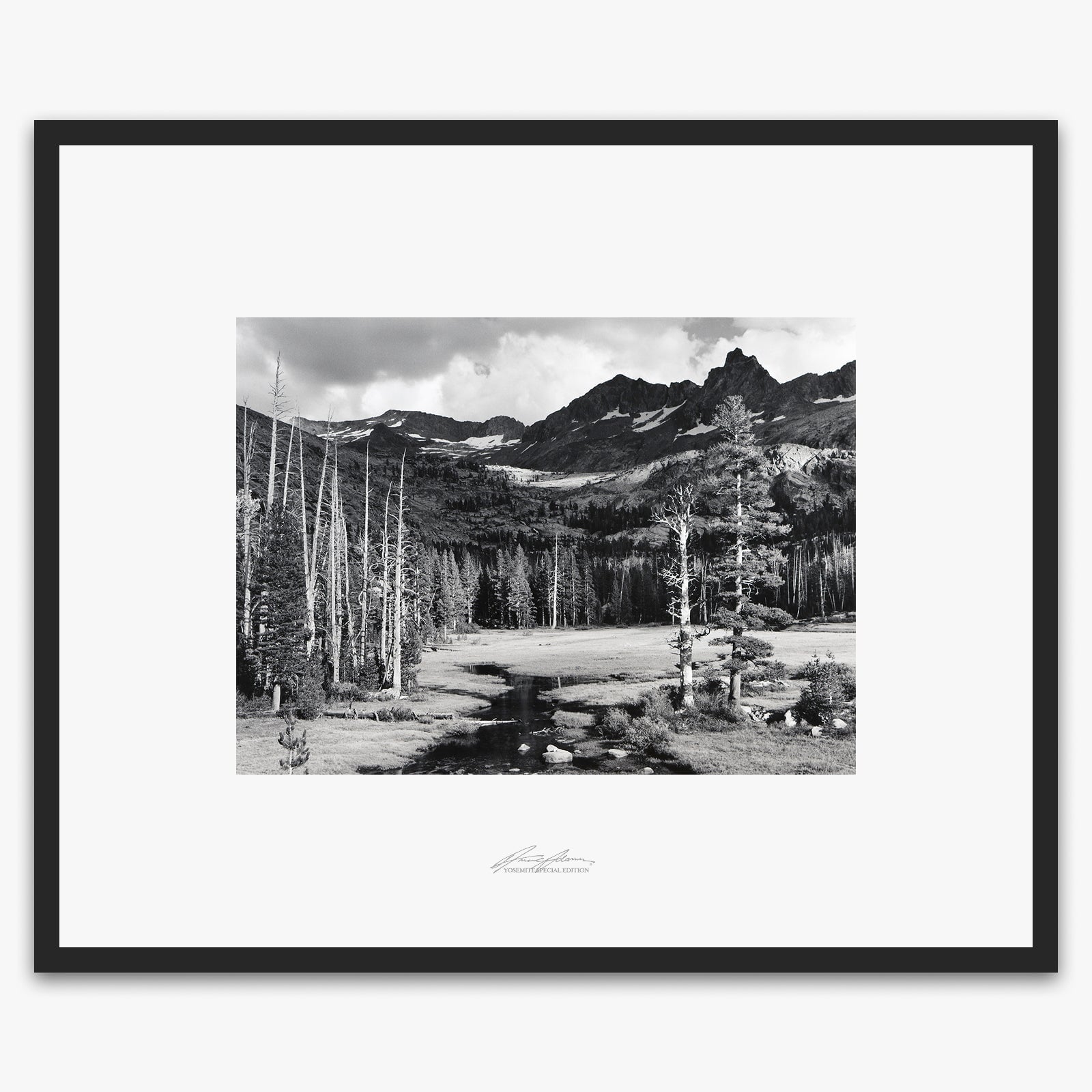 Mt. Ansel Adams, Lyell Fork.