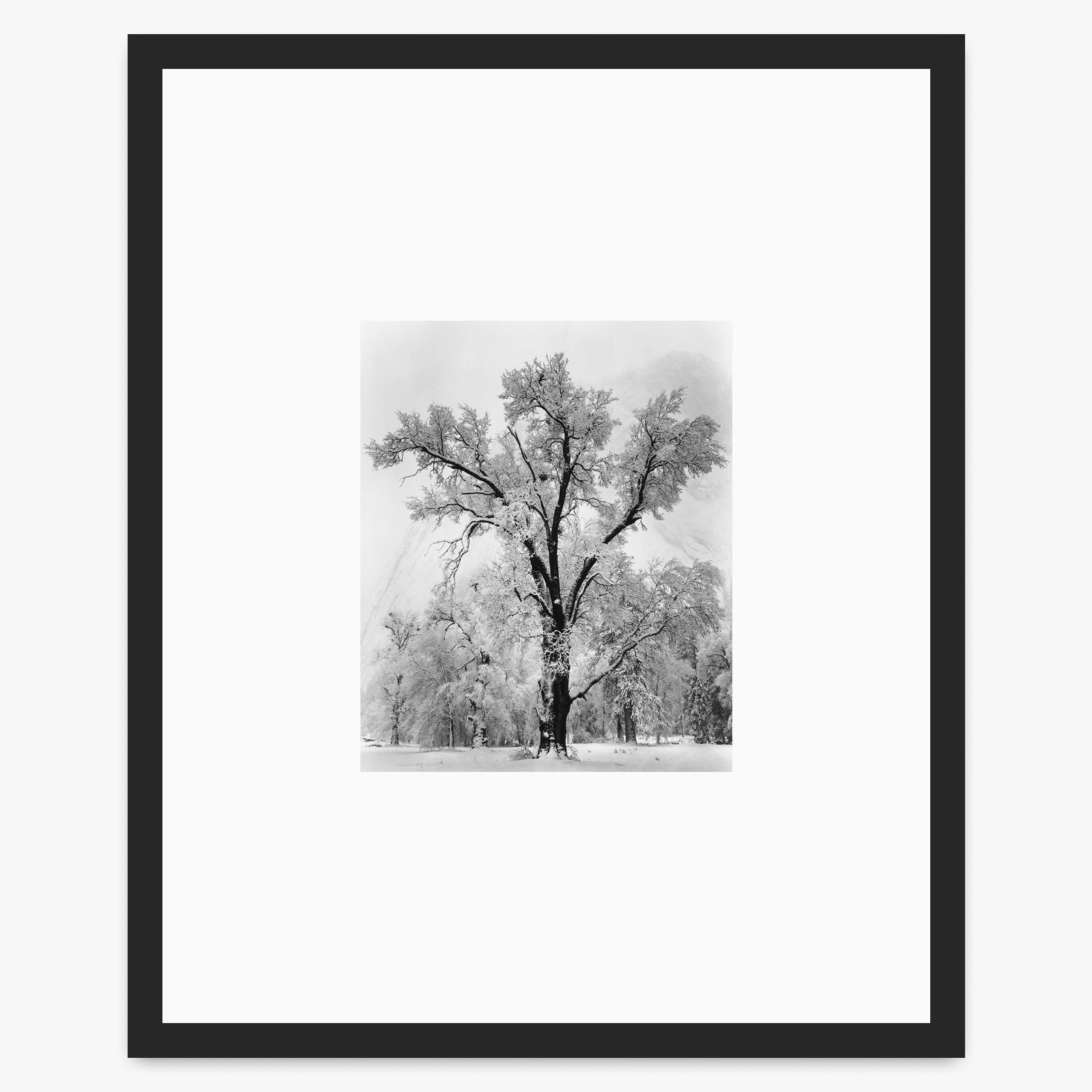 Oak Tree, Snowstorm Shop_Small_Print Ansel Adams Matte Black Metal