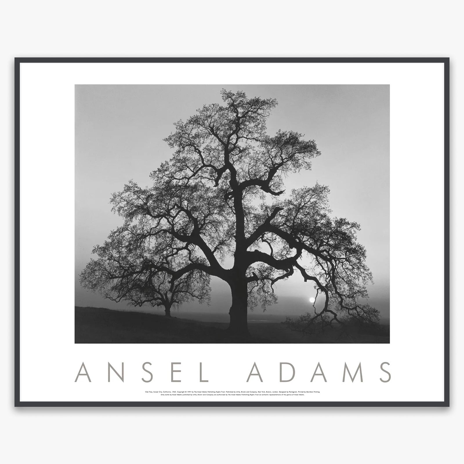 Oak Tree, Sunset City Shop: Poster Ansel Adams Framed Poster Contrast Gray Metal