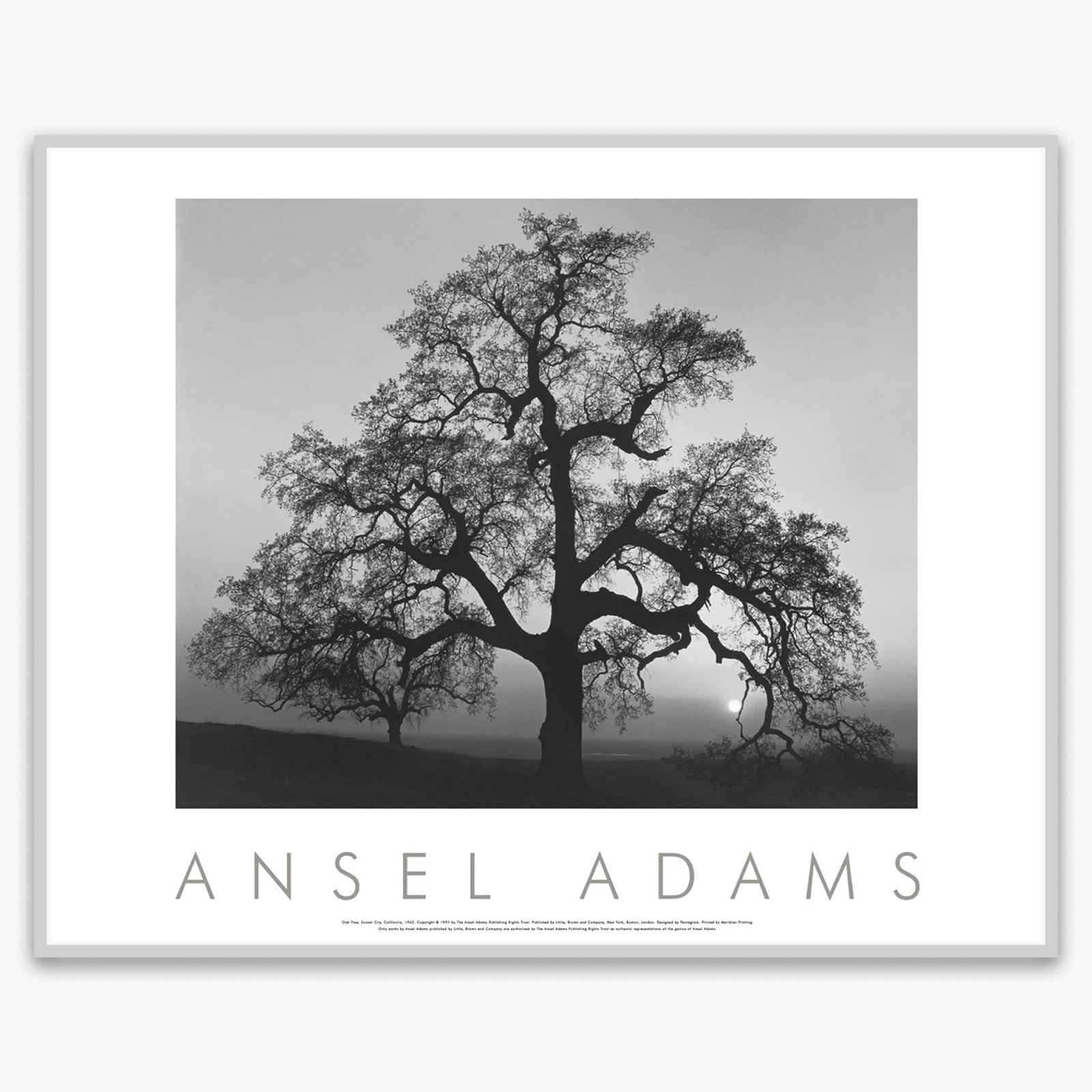 Oak Tree, Sunset City Shop: Poster Ansel Adams Framed Poster German Silver Metal