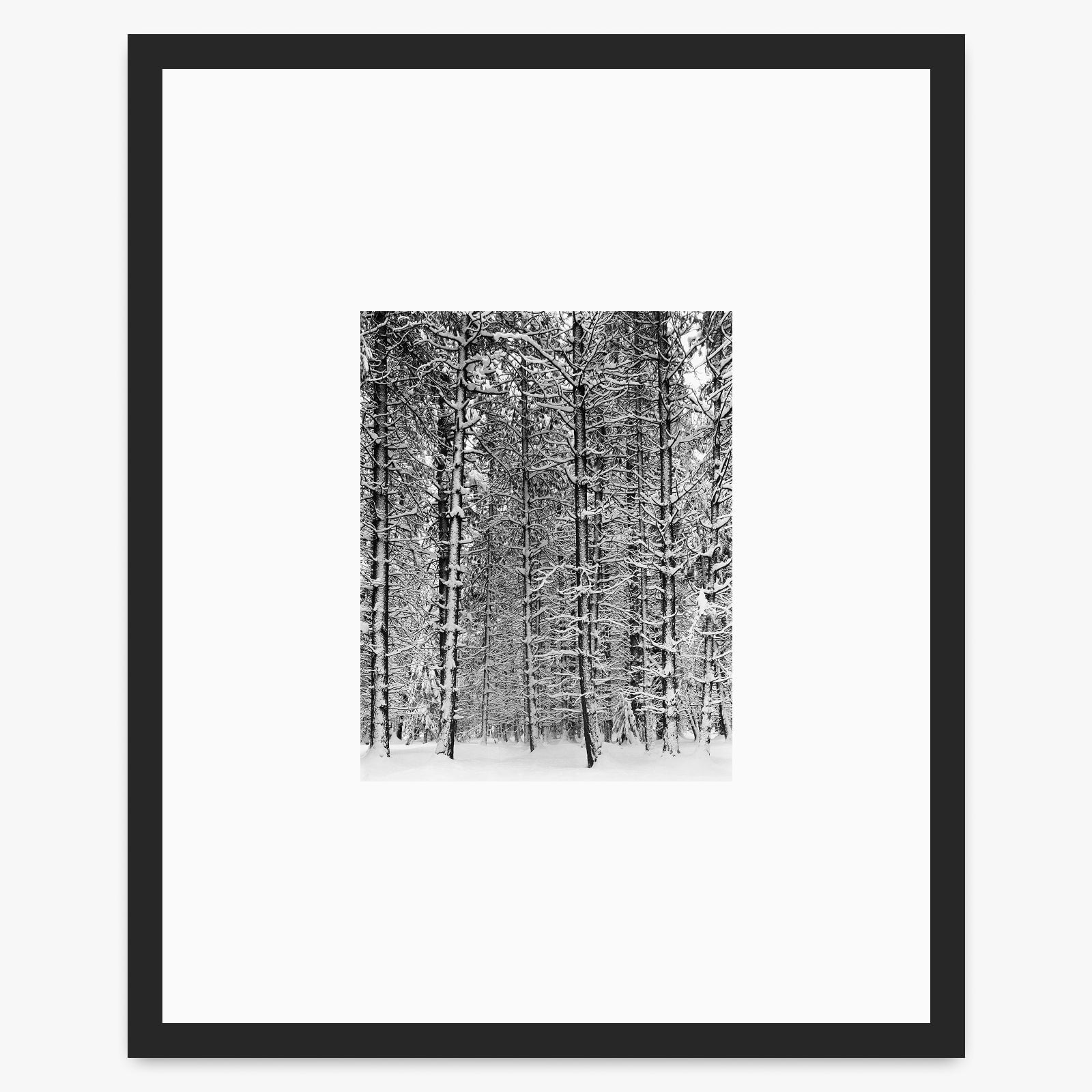 Pine Forest in Snow Shop_Small_Print Ansel Adams Matte Black Metal