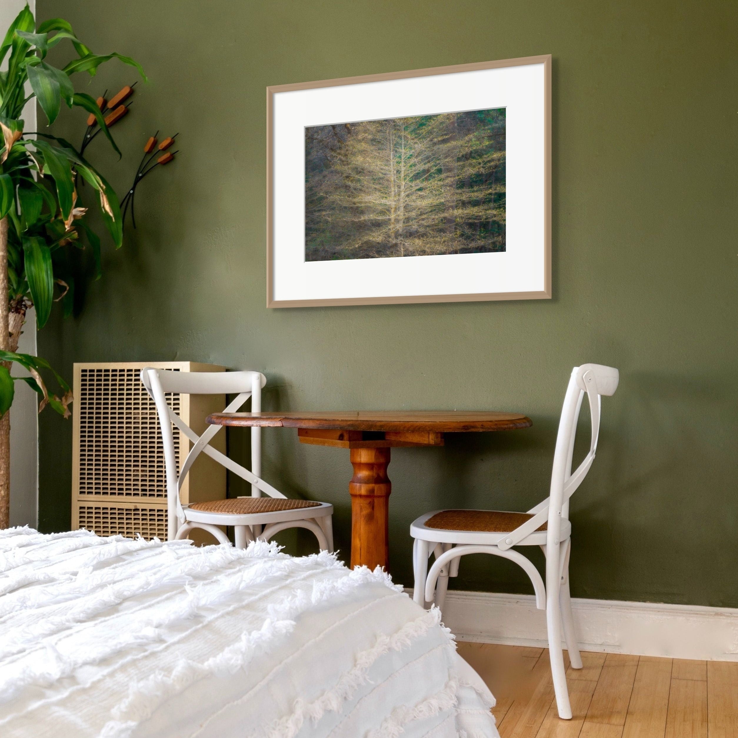 Ready to Bloom Shop charlotte gibb