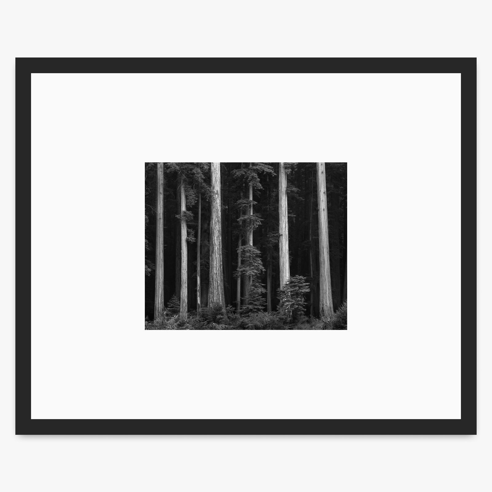 Redwoods Shop_Small_Print Ansel Adams Matte Black Metal