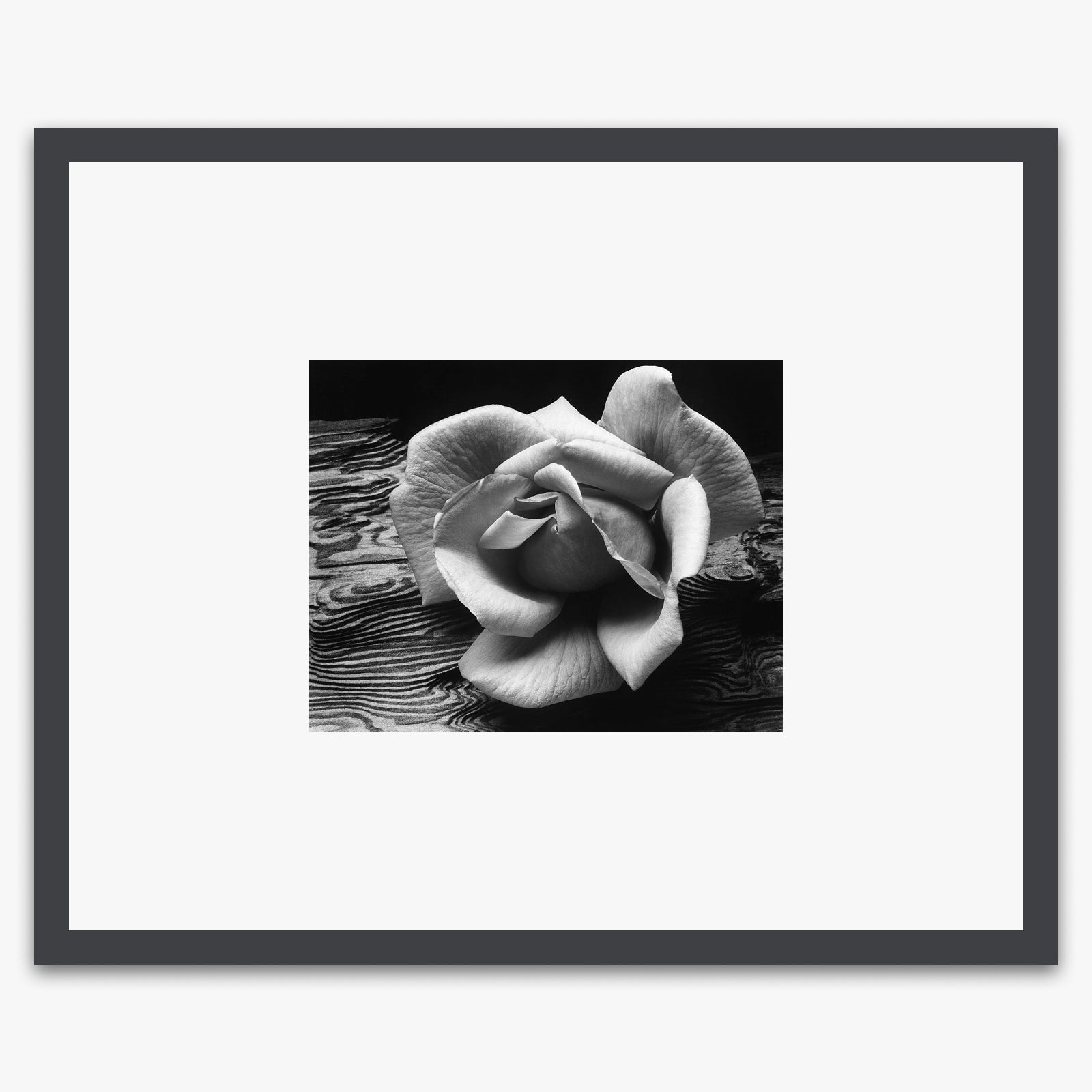 Rose and Driftwood Shop_Small_Print Ansel Adams Contrast Gray Metal