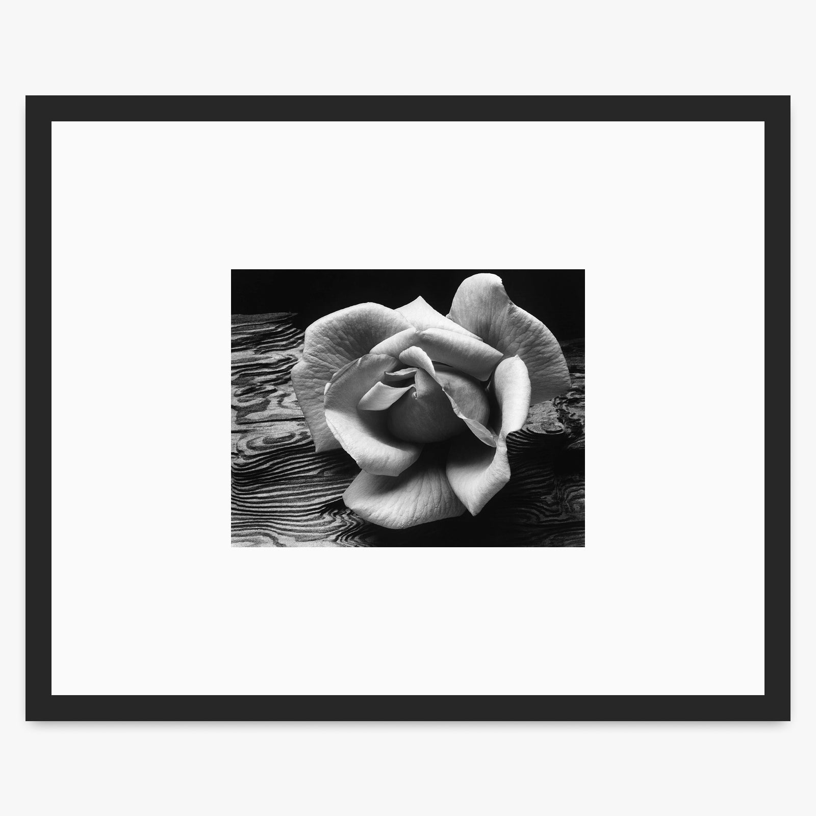 Rose and Driftwood Shop_Small_Print Ansel Adams Matte Black Metal