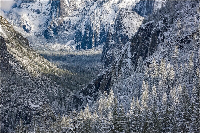 Winter Light, Yosemite National Park Shop William Neill