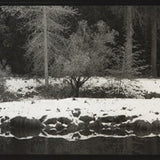 Looking Across the Merced River, 2003.