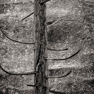 Modern Photogravure Printing.