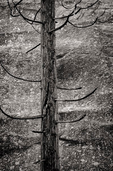 Modern Photogravure Printing.
