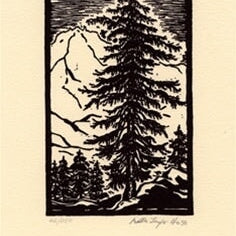 Mountain Hemlock.