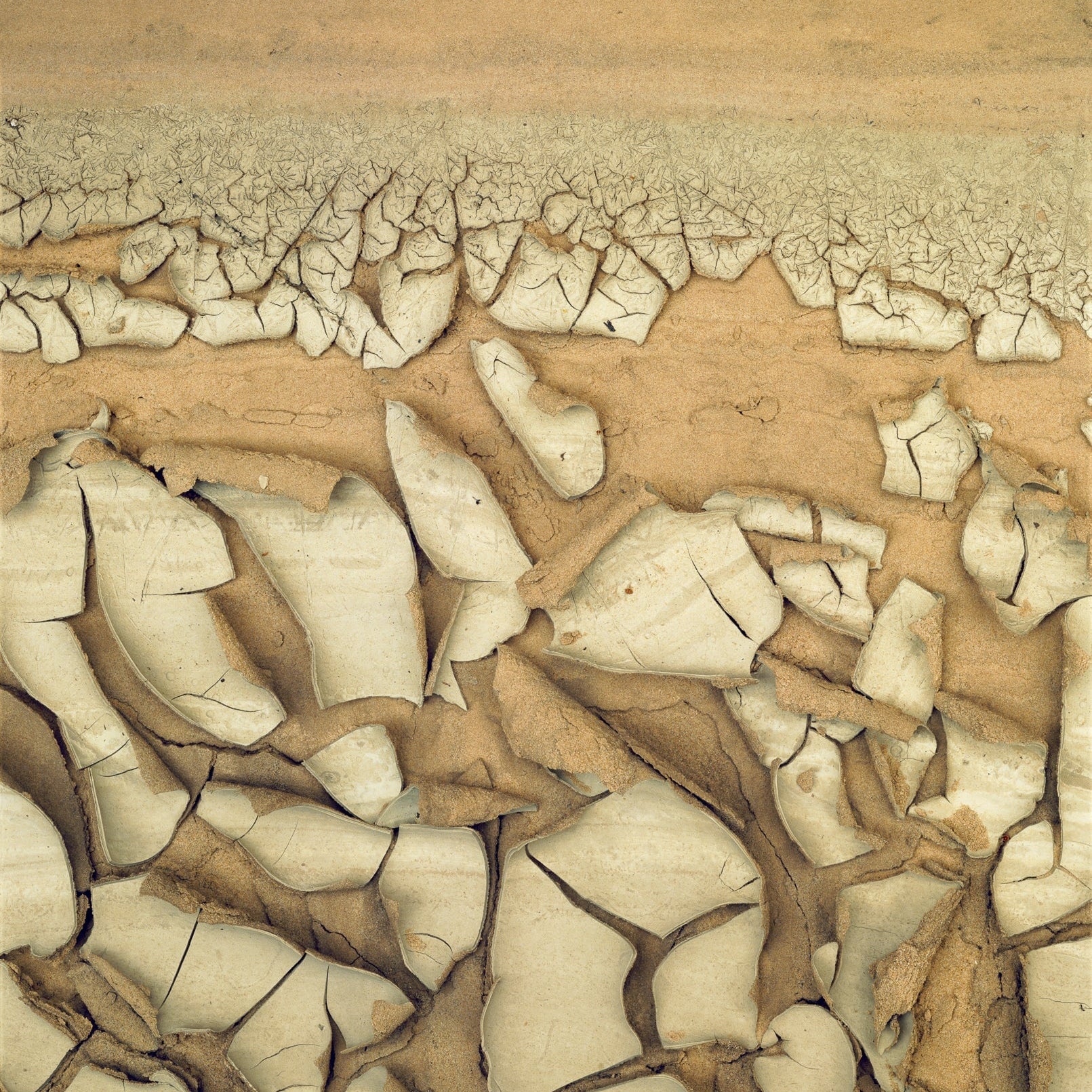 Mudcracks, Zion National Park, Utah 1983 Shop William Neill 11"x14"