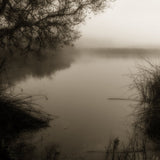 Oso Flaco Lake, San Luis Obispo County, CA Shop Kerik Kouklis