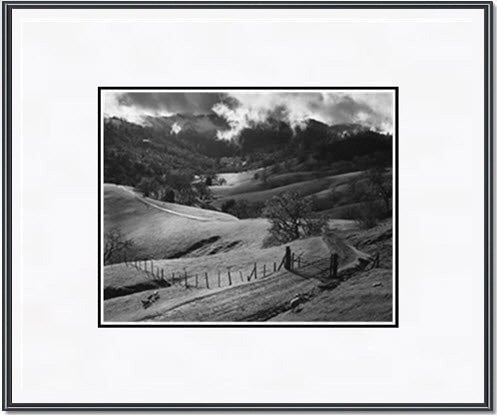 Pasture, Sonoma County.