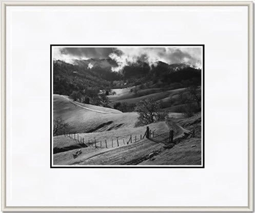 Pasture, Sonoma County.