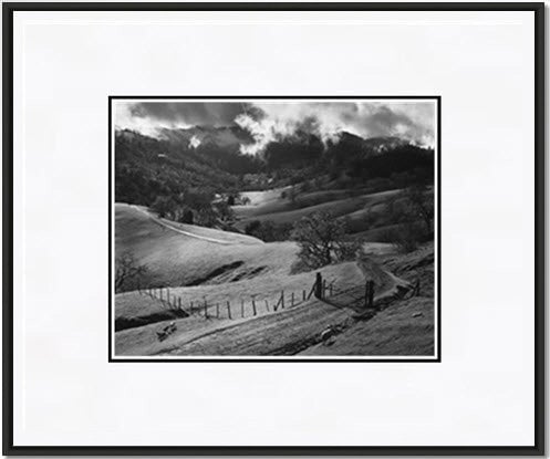 Pasture, Sonoma County.