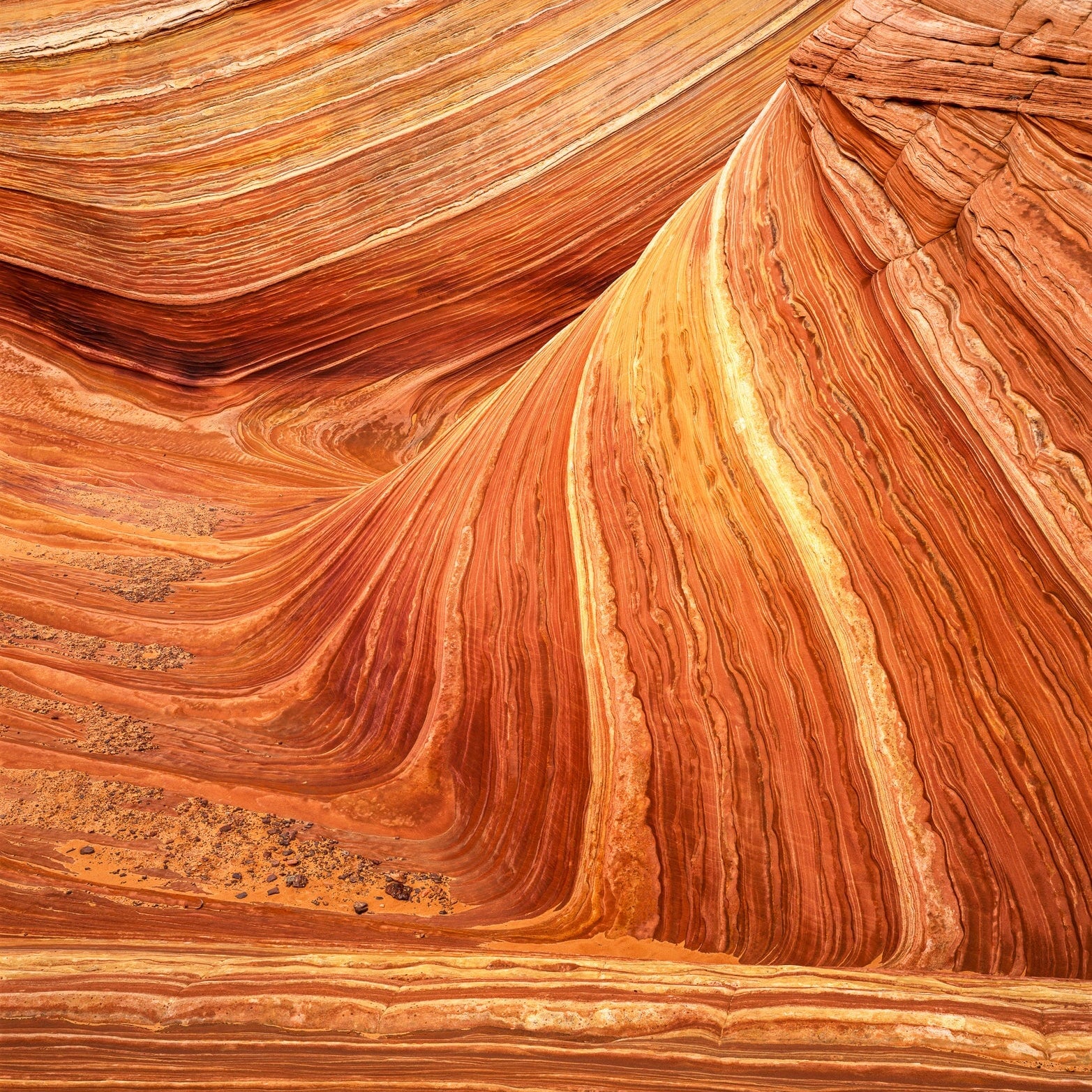 Petrified Sand Dune Formations, Paria Canyon-Vermillion Cliffs Wilderness Area, Arizona 2002 Shop William Neill 16"x20"