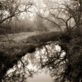 Pond, near Shingle Springs, California.