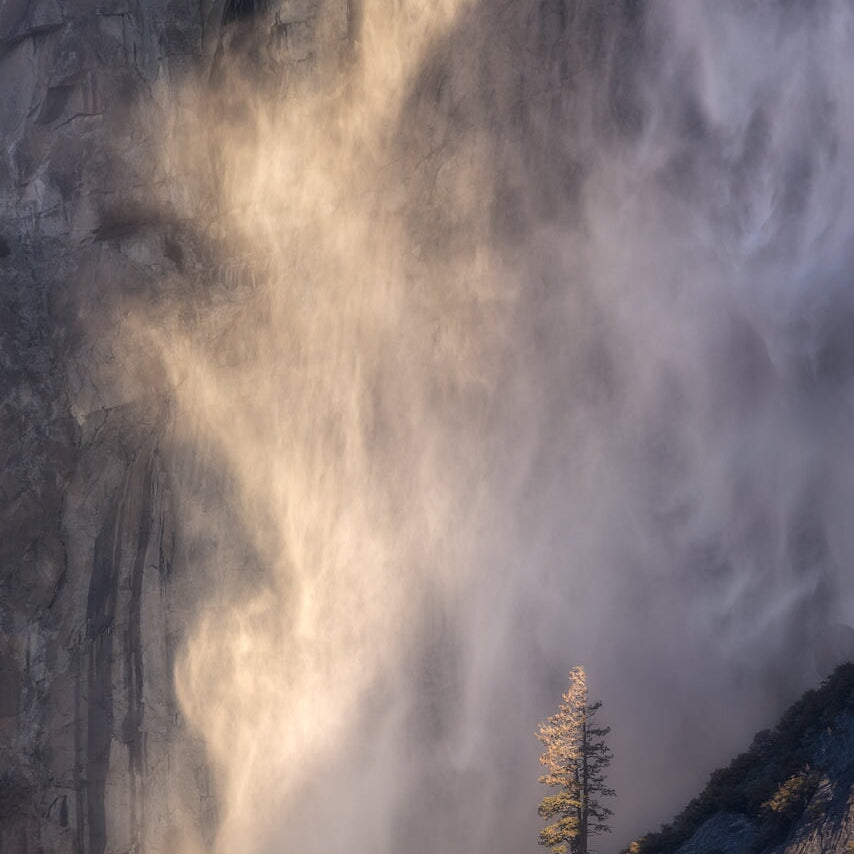 Room 504 (Awahnee Hotel) Shop charlotte gibb