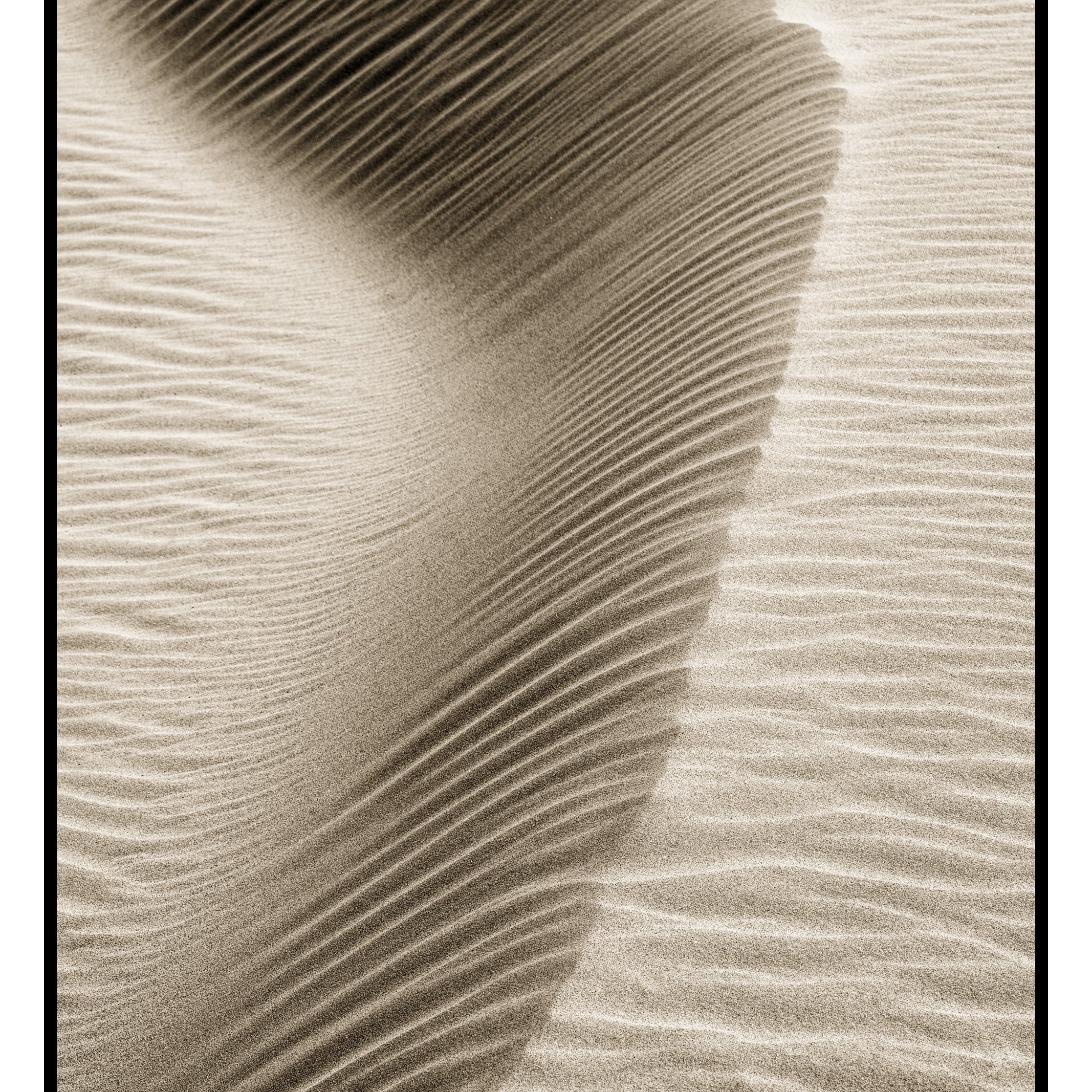 Sand Patterns, Oceano Dunes, CA 2022 Shop_RepArtist Kerik Kouklis