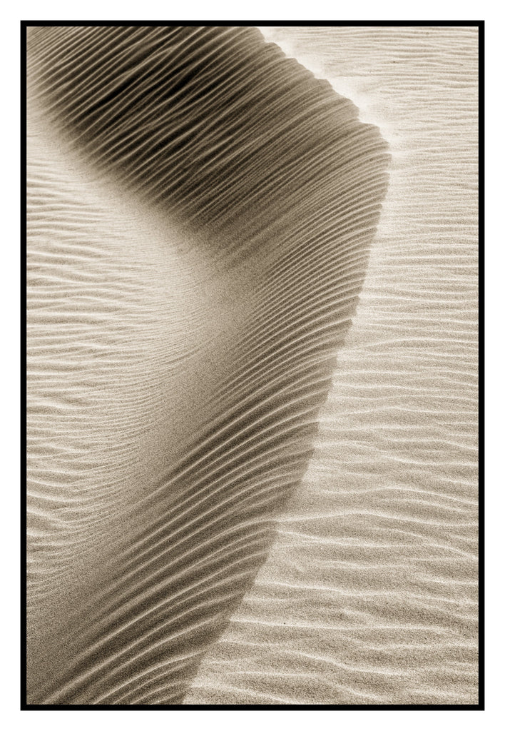 Sand Patterns, Oceano Dunes, CA 2022
