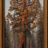 Sunset on the Grizzly Giant Shop James McGrew