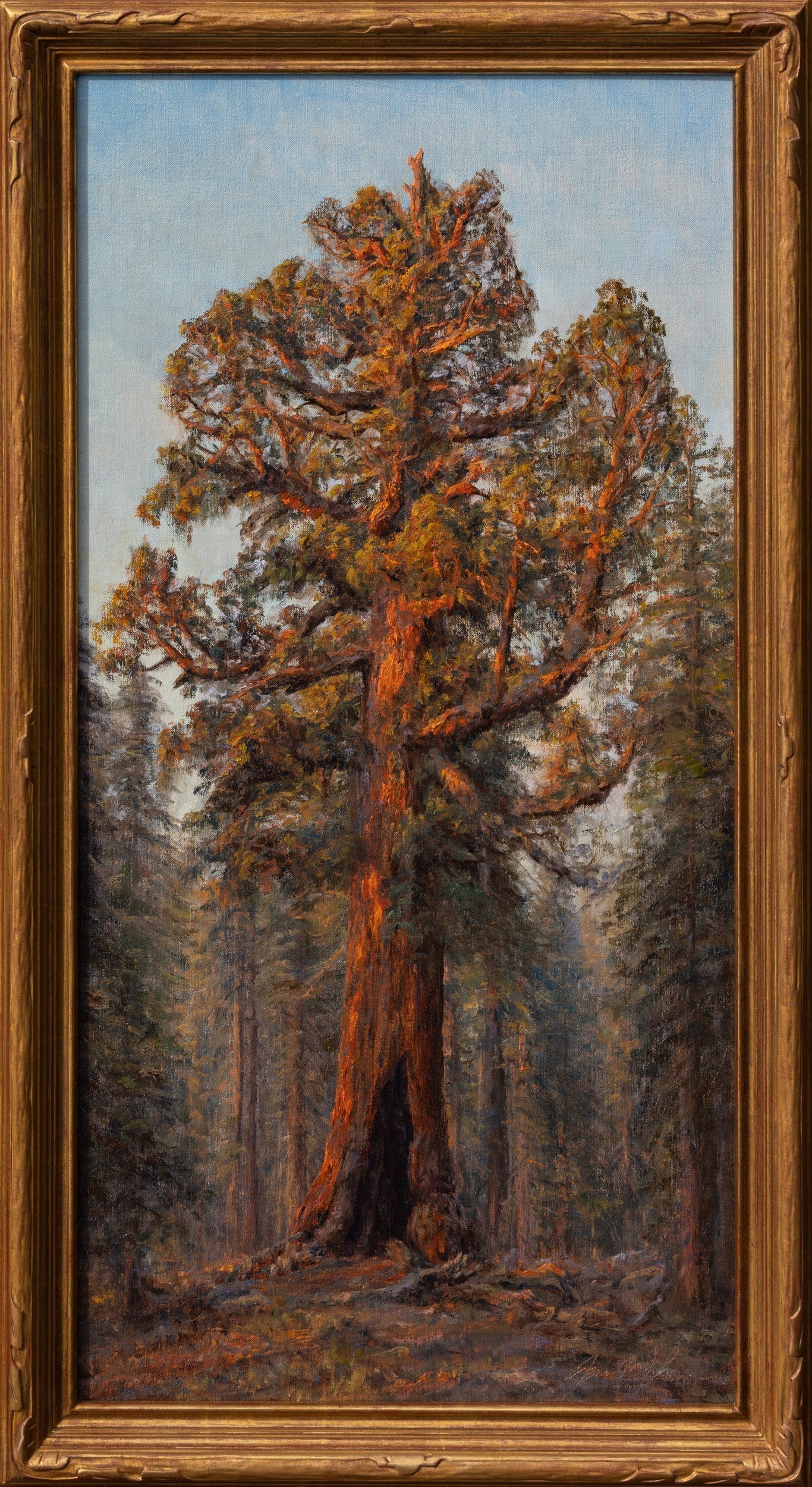 Sunset on the Grizzly Giant Shop James McGrew