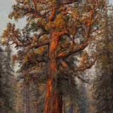 Sunset on the Grizzly Giant Shop James McGrew