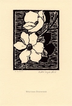 Western Dogwood by Della Taylor Hoss – The Ansel Adams Gallery