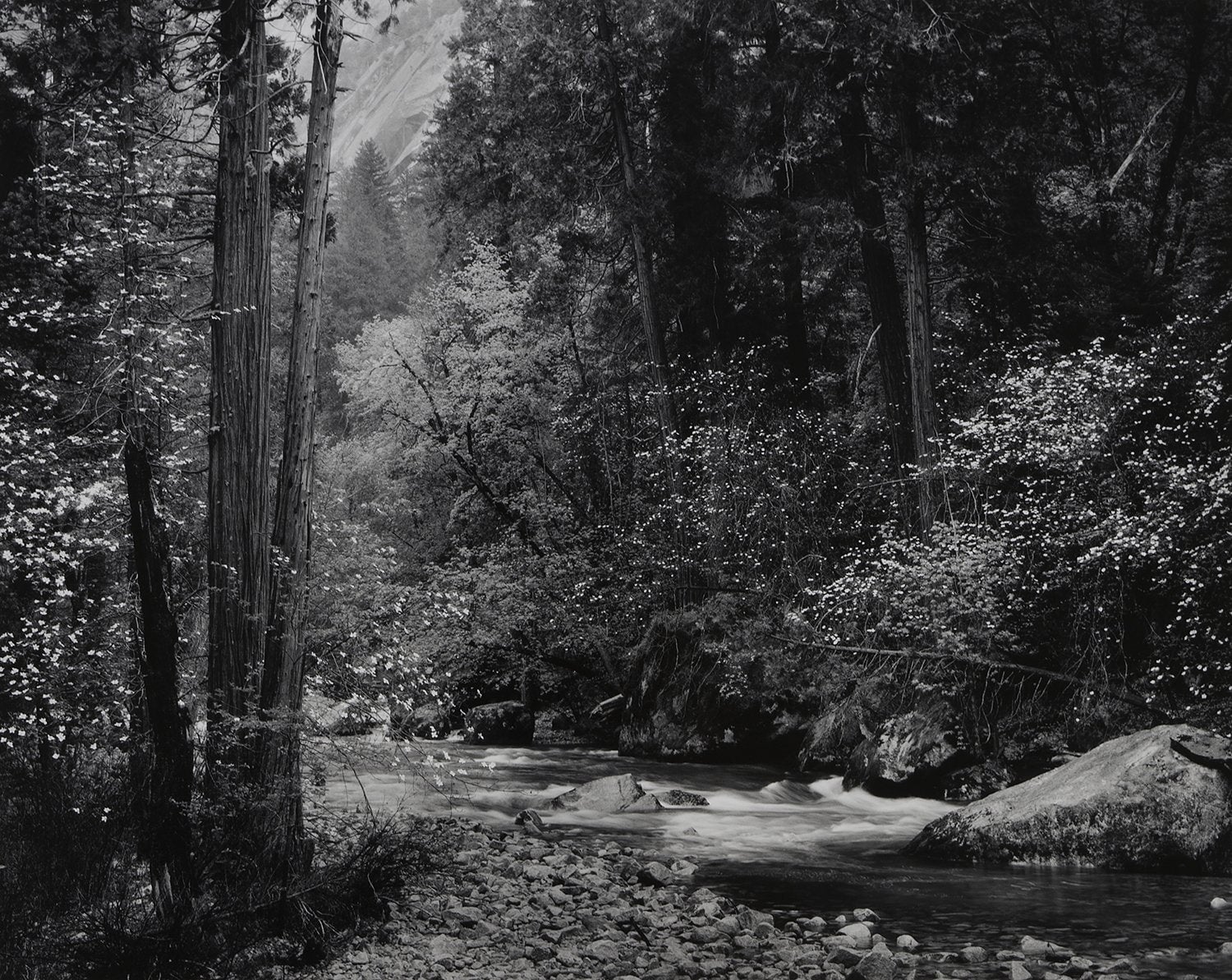 Yosemite Cool Water Set Shop Ansel Adams