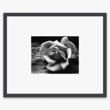 Rose and Driftwood Shop_Small_Print Ansel Adams Contrast Gray Metal 
