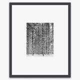 Pine Forest in Snow Shop_Small_Print Ansel Adams Contrast Gray Metal 