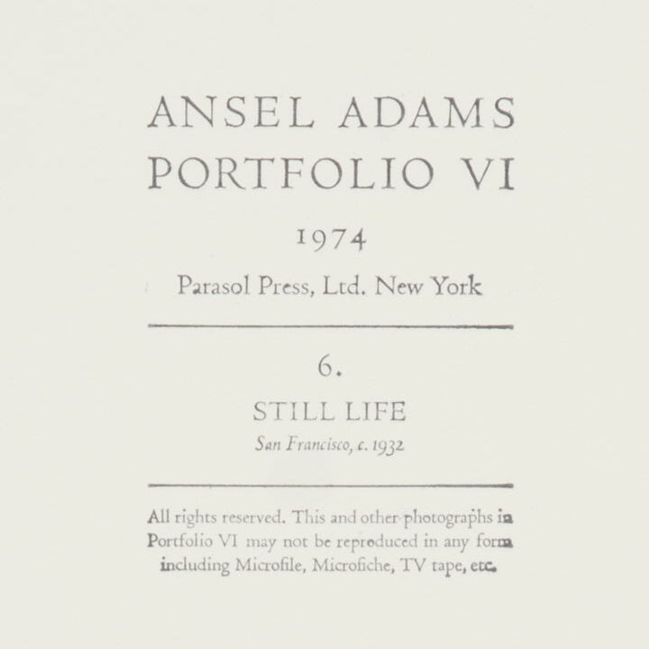 Still Life, San Francisco Original Photograph Ansel Adams 
