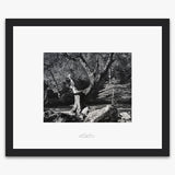 Early Morning, Merced River Shop_Repro_SEP The Ansel Adams Gallery Framed Standard Black Wood 