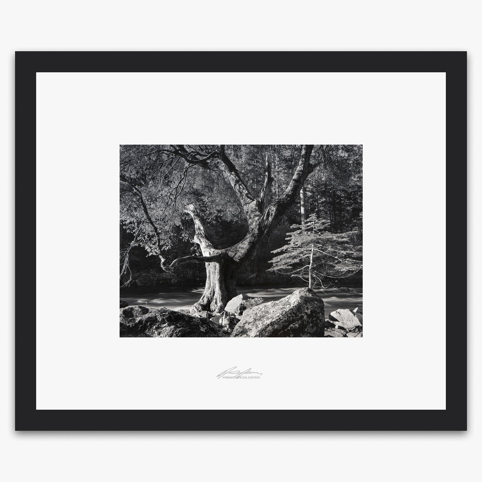 Early Morning, Merced River Shop_Repro_SEP The Ansel Adams Gallery Framed Standard Black Wood 