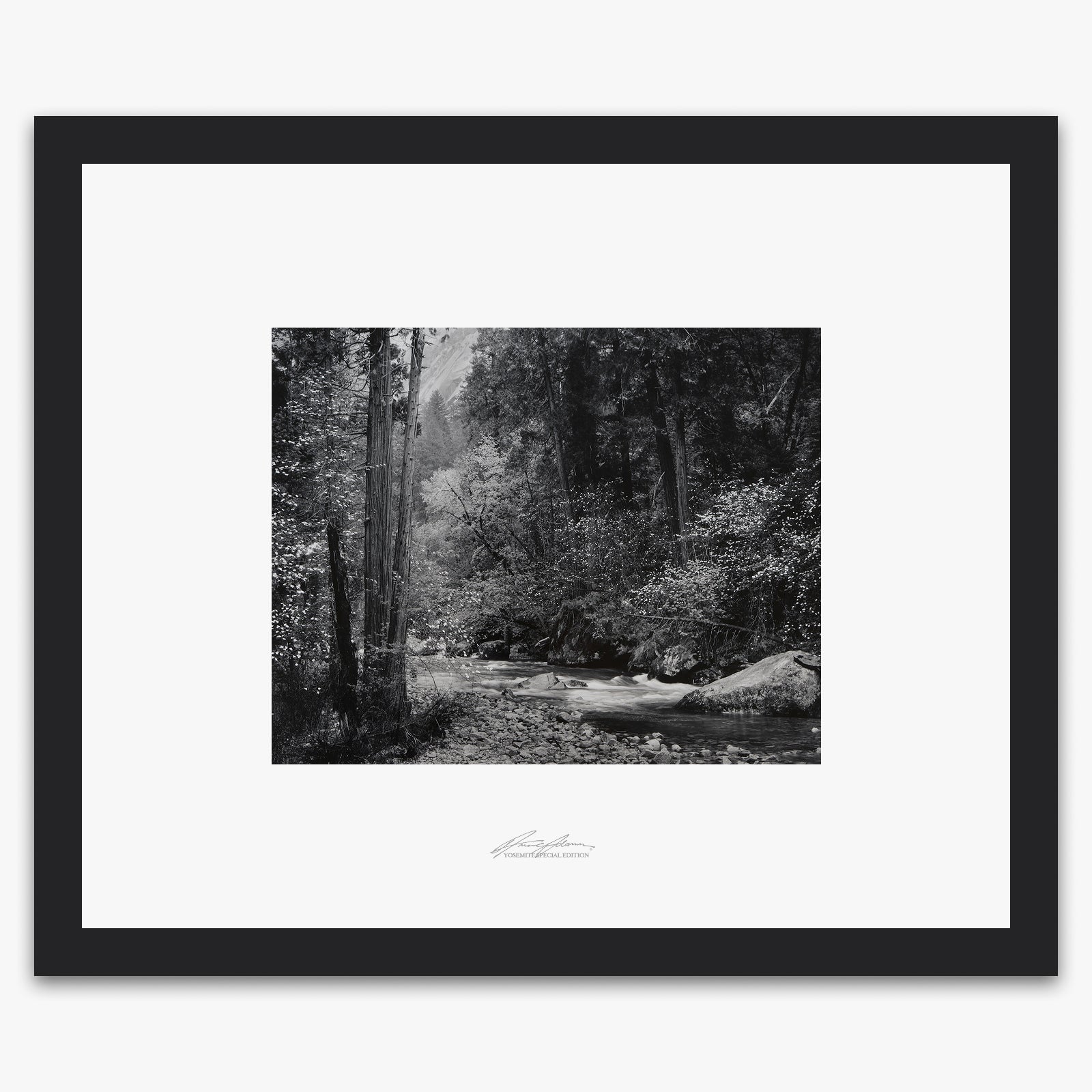 Tenaya Creek, Dogwood, Rain Shop_Repro_SEP The Ansel Adams Gallery Framed Standard Black Wood 
