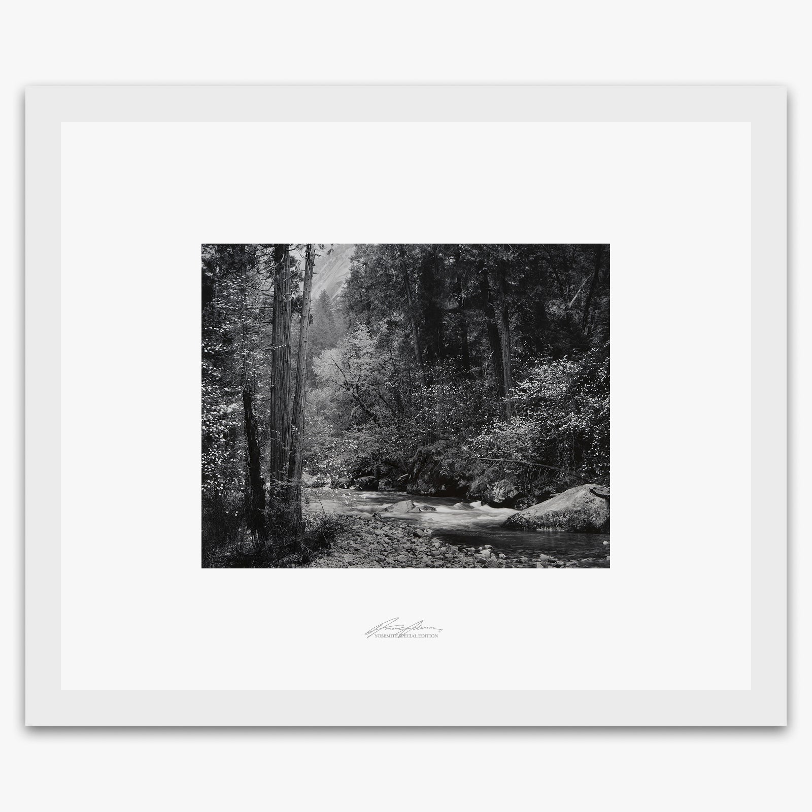 Tenaya Creek, Dogwood, Rain Shop_Repro_SEP The Ansel Adams Gallery Framed Standard White Wood 