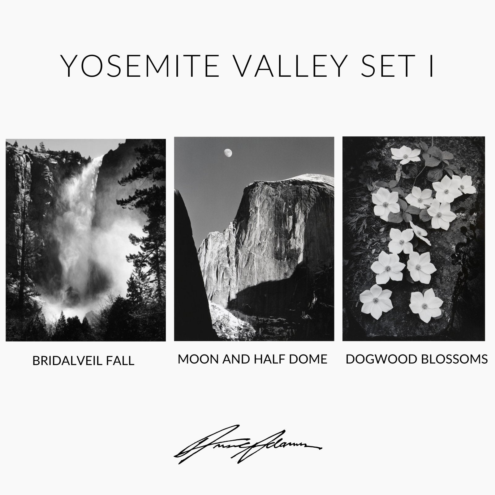 Yosemite Valley Set I Shop_Repro_SEP Ansel Adams 