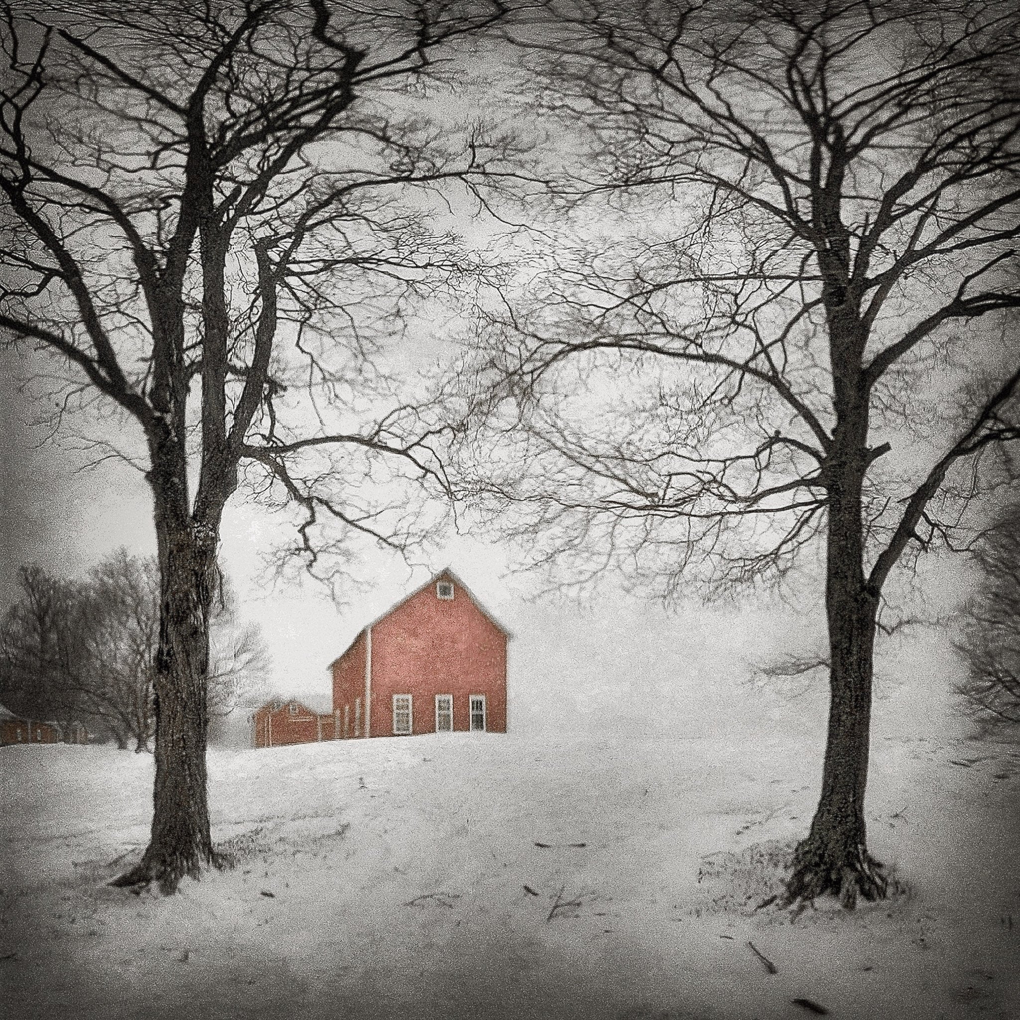 Barn and Trees in Snow Shop_Represented_Artist Dan Burkholder 
