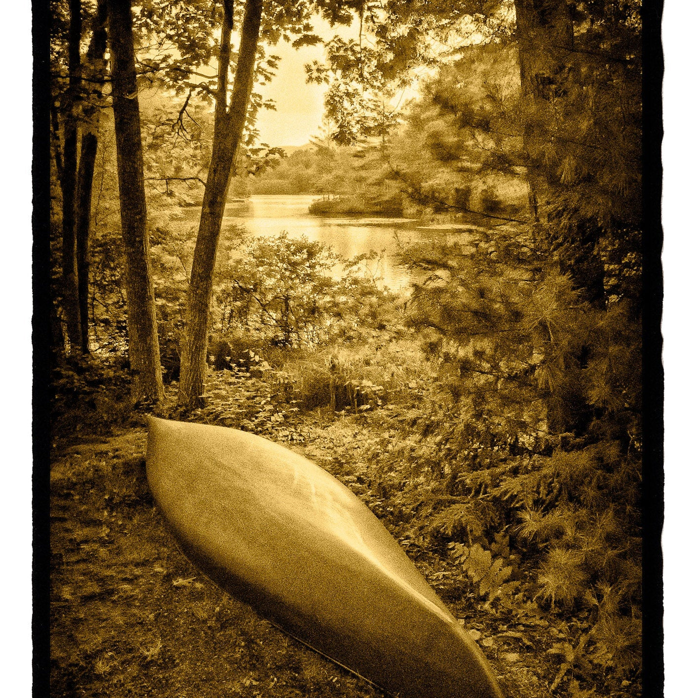 Canoe in Woods, Maine Shop_Represented_Artist Dan Burkholder 