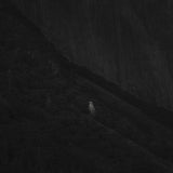 Last Light, Tree, Yosemite Valley, 2019 Shop_RepArtist Jeffrey Conley 