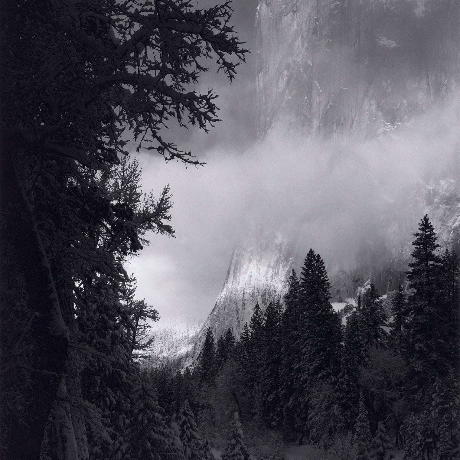 El Capitan, Winter Sunrise explore photographs The Ansel Adams Gallery 
