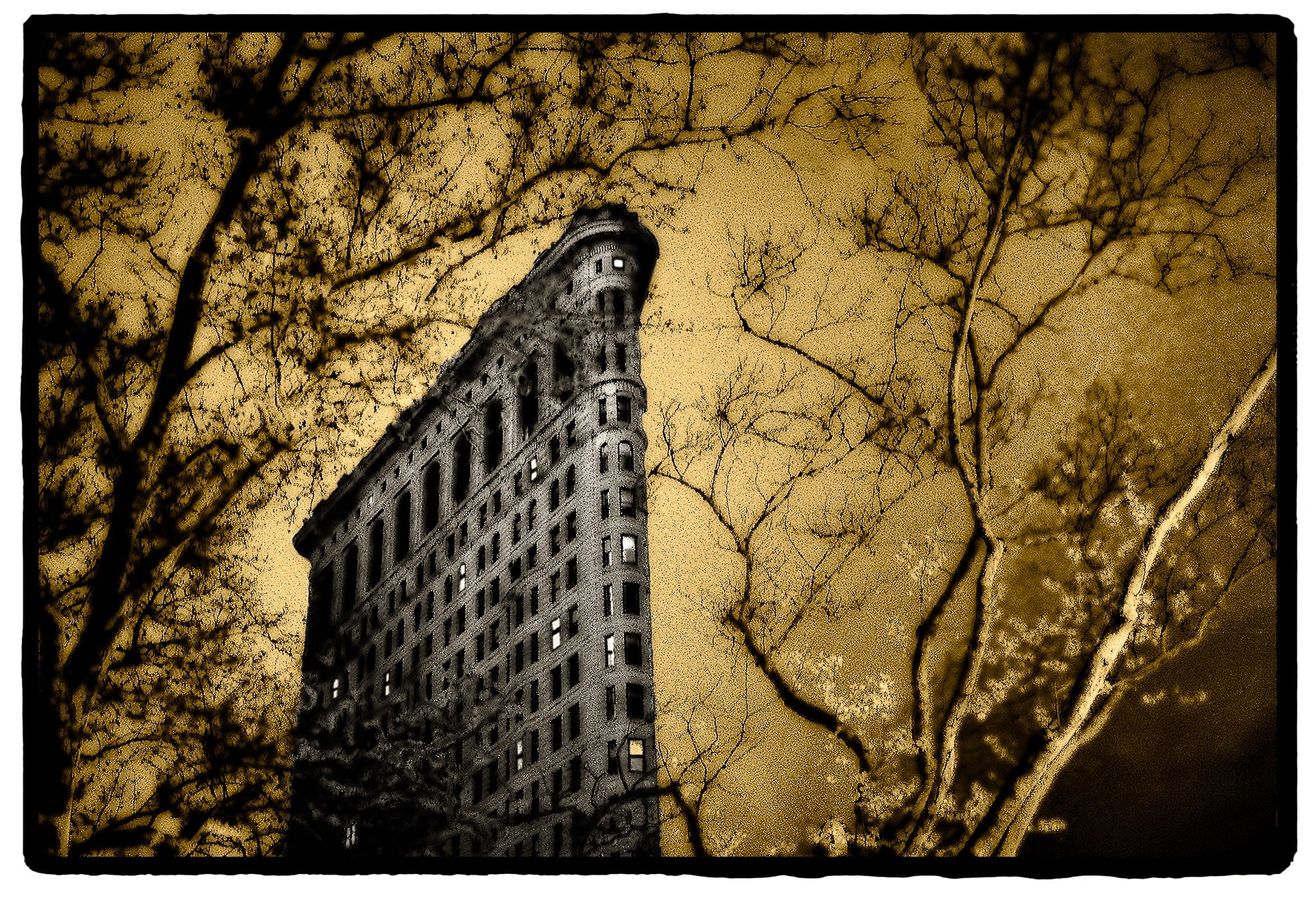 Flatiron in Spring, New York Shop_Represented_Artist Dan Burkholder 