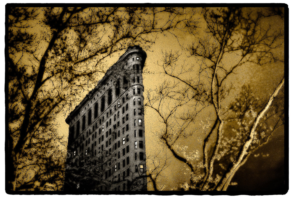 Flatiron in Spring, New York
