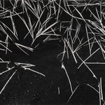 Grass and Pool (Portfolio III) explore photographs The Ansel Adams Gallery 