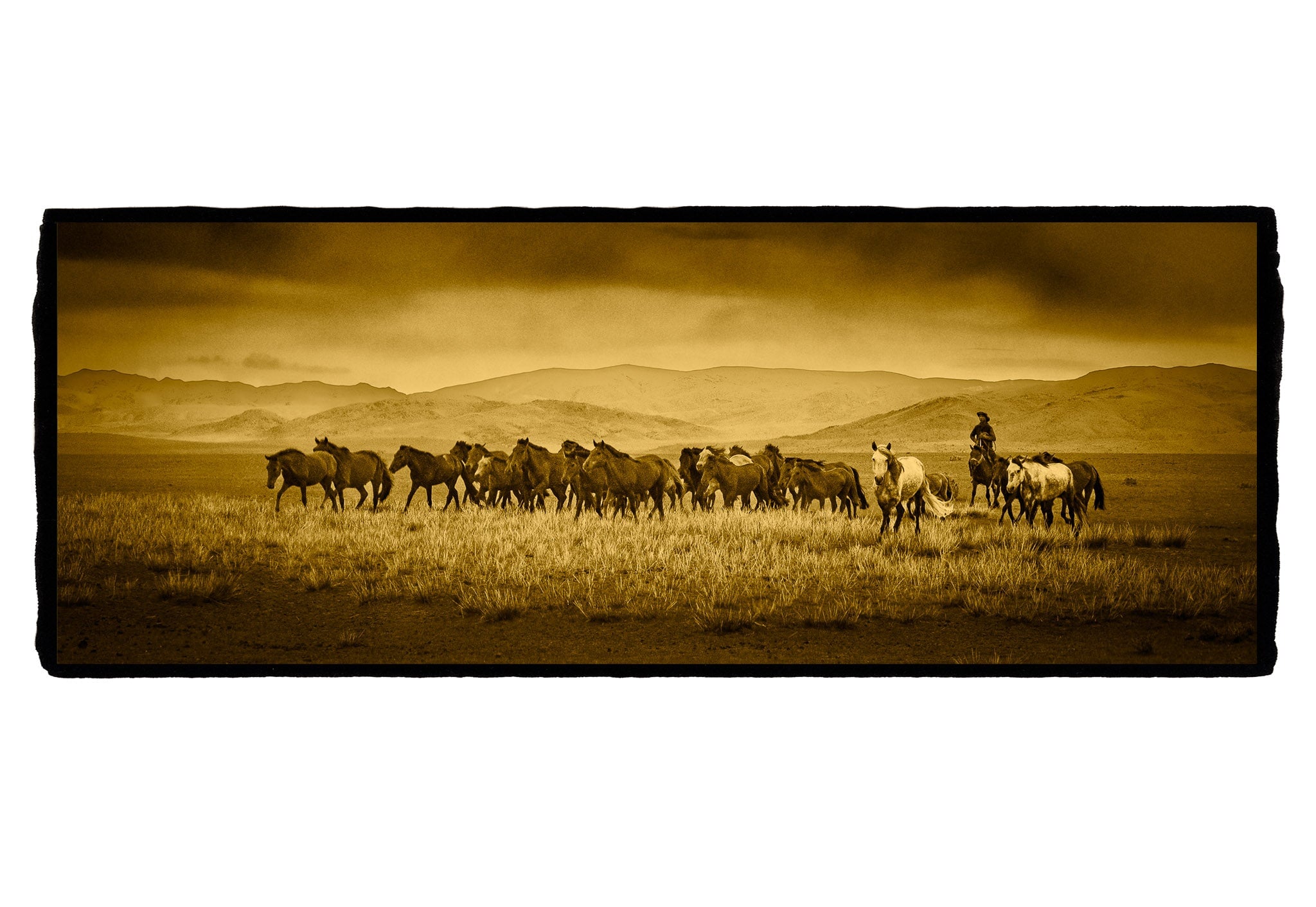 Horse Roundup, Mongolia Shop_Represented_Artist Dan Burkholder 