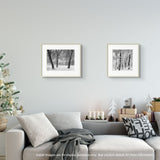 Black Oaks, Snowstorm, Yosemite Valley, CA 2011 Shop John Sexton 