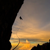 Alex Honold, Big Wall Borneo Rappel Shop_Represented_Artist The Ansel Adams Gallery 