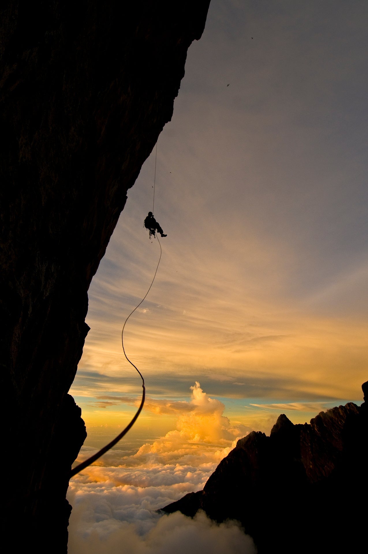 Alex Honold, Big Wall Borneo Rappel Shop_Represented_Artist The Ansel Adams Gallery 